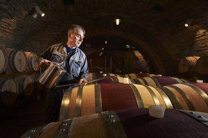 A Igor Skubin Brda Wine Cellar Dobrovo Touching the Barrel 8837