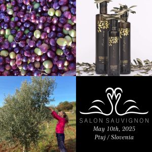 OLJARNA CAROLEA PRIMA NA FESTIVALU SALON SAUVIGNON PTUJ 2025
